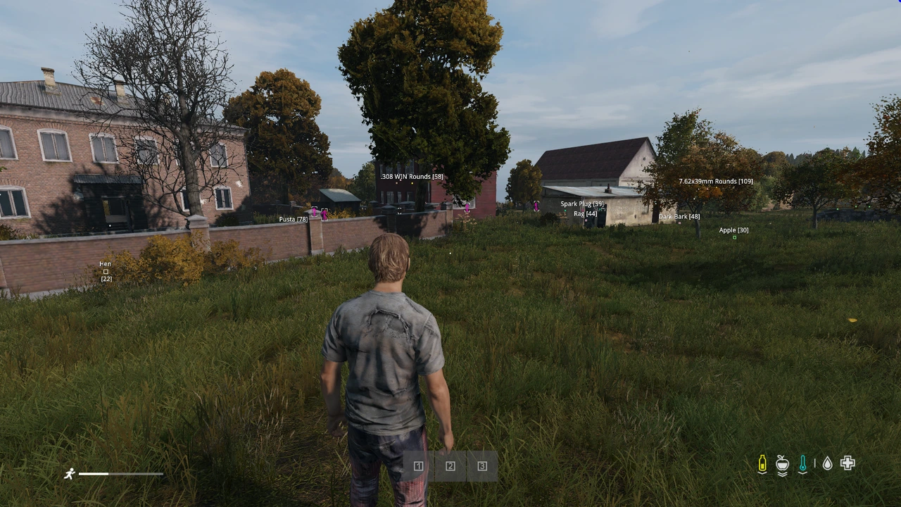 DayZ Pro