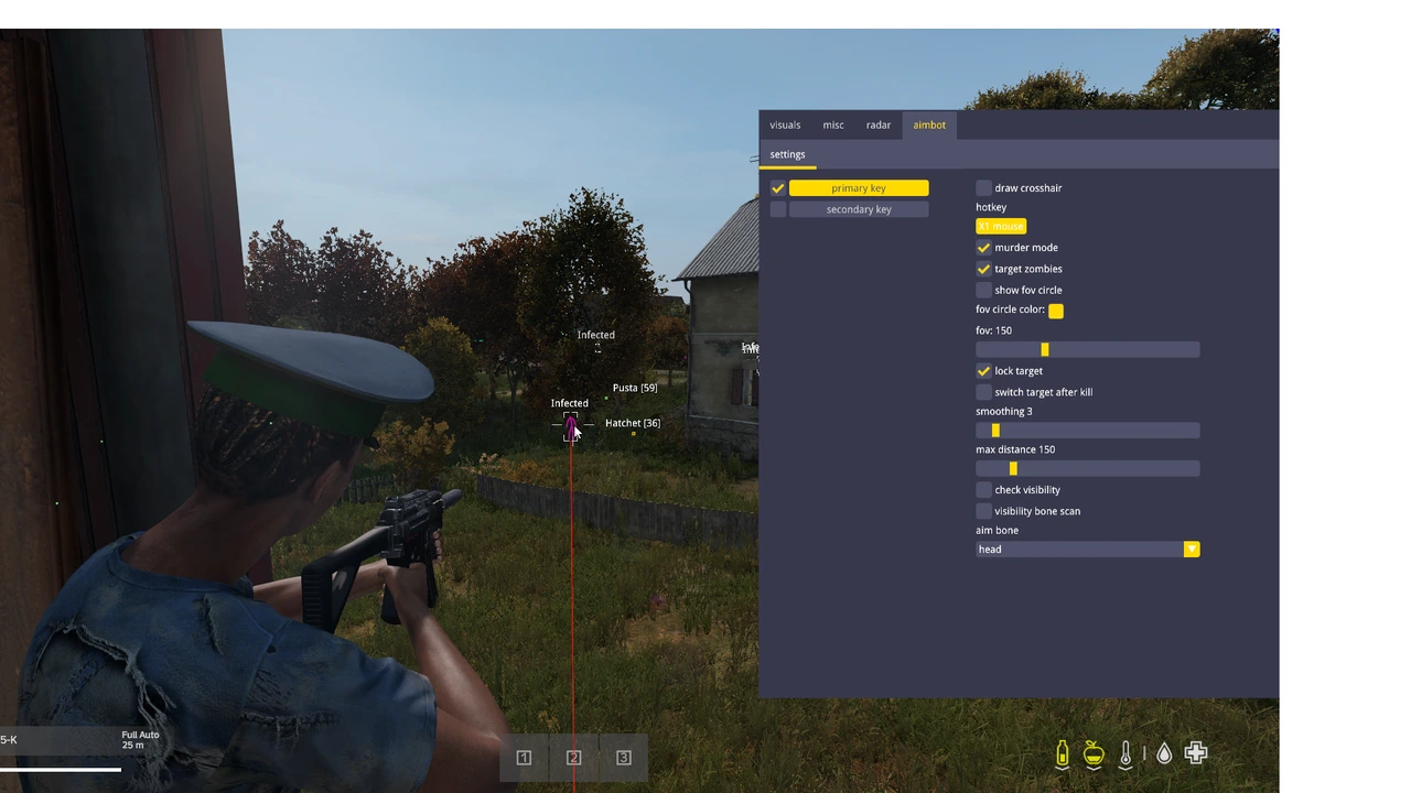 DayZ Pro