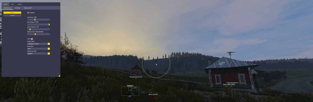 DayZ Pro