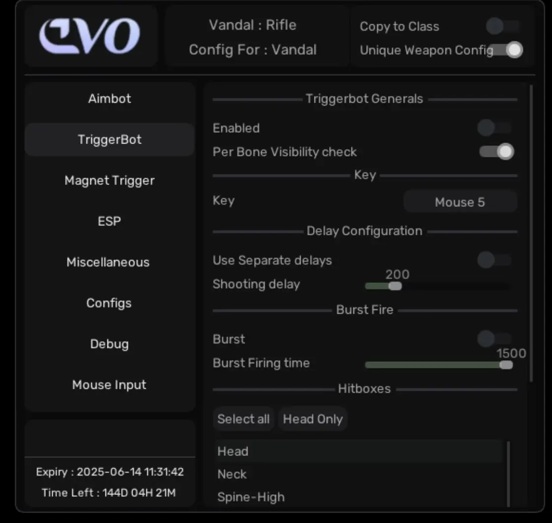 EVO Valorant (DMA)