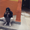 almightyraay