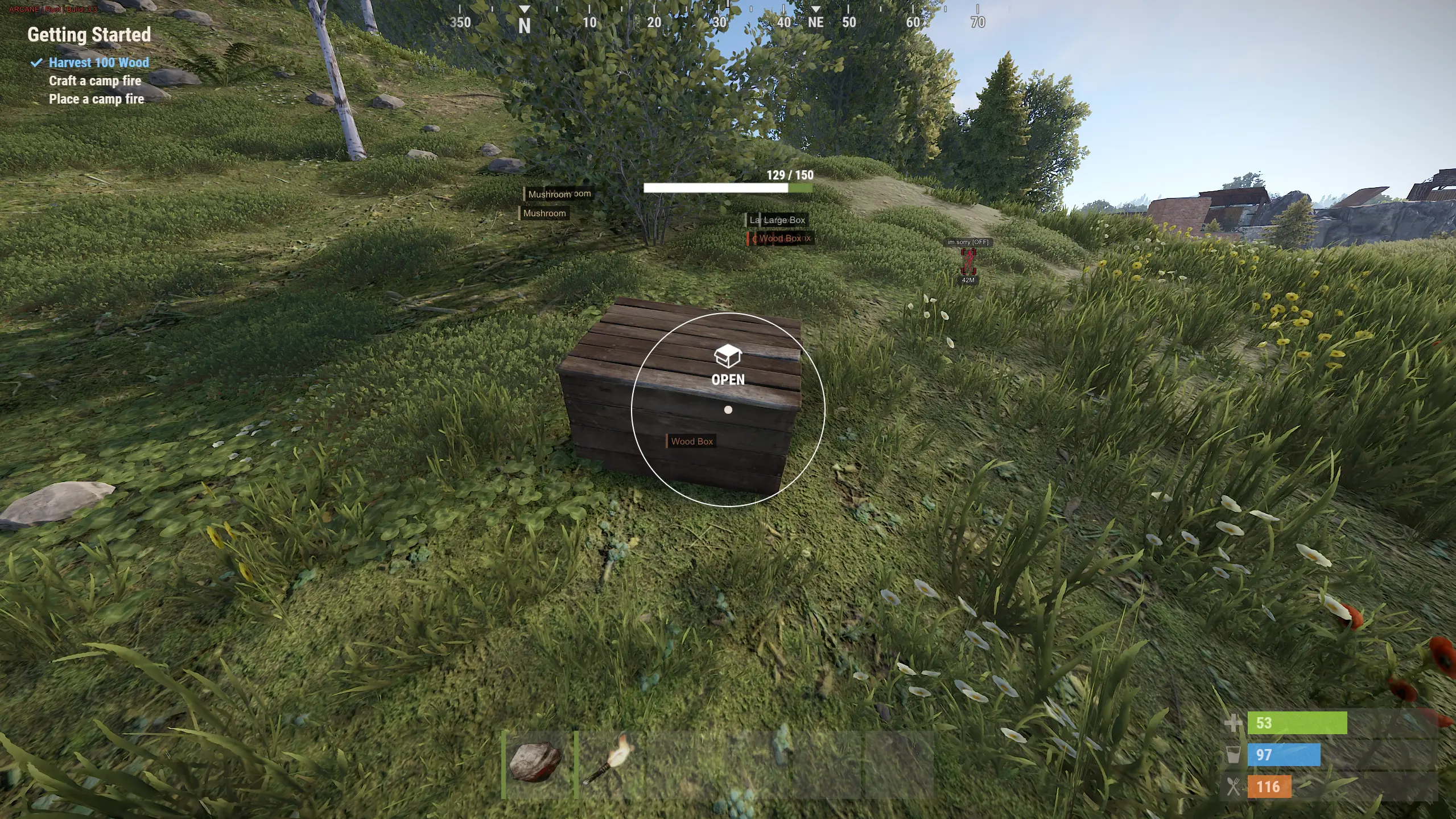 Arcane (Rust)