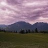 yomomma9116