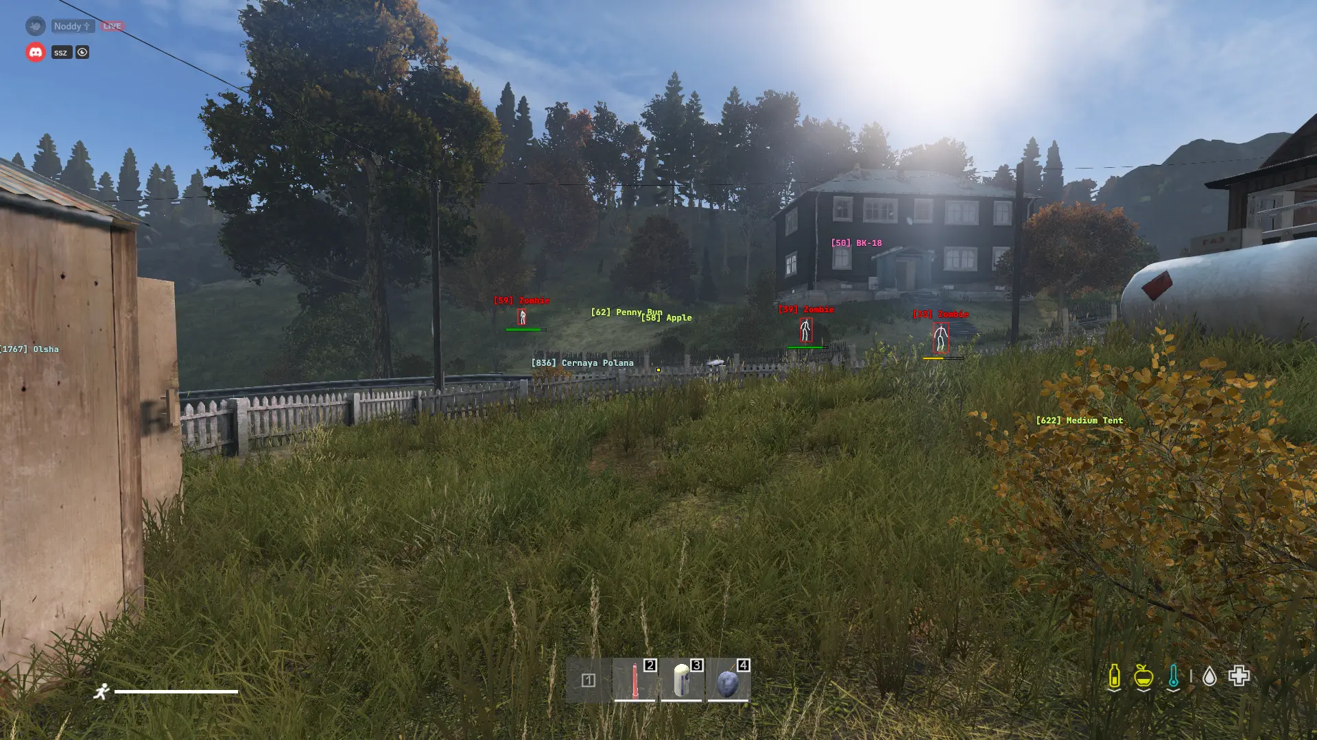 DayZ ESP